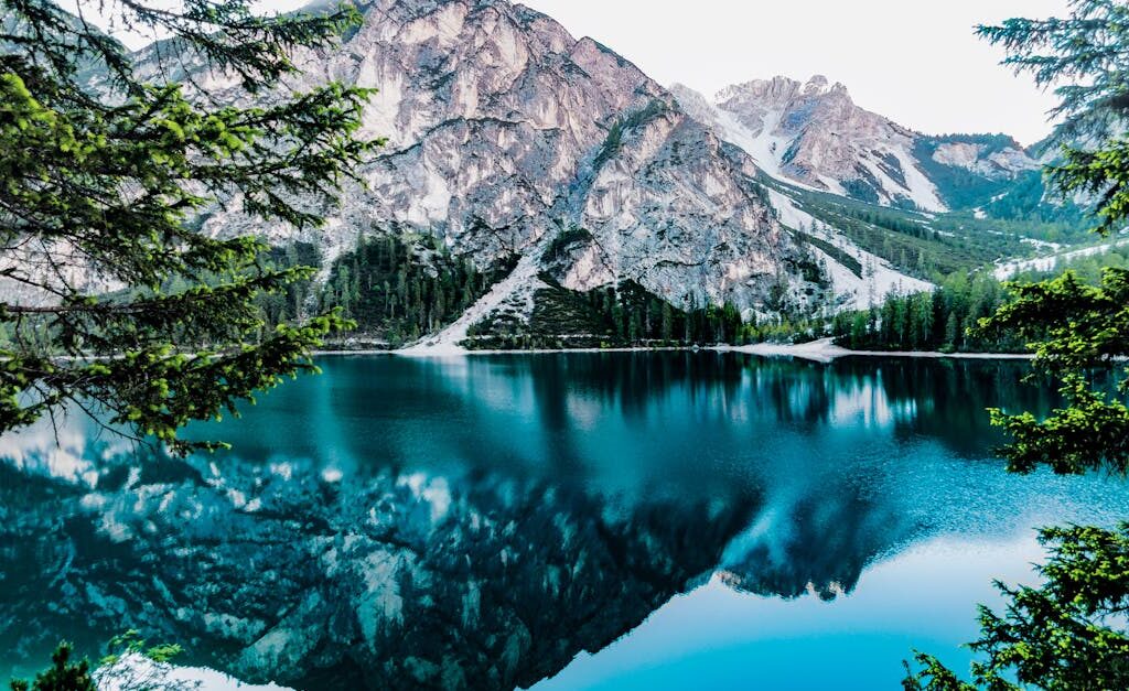 pexels photo 443446 443446